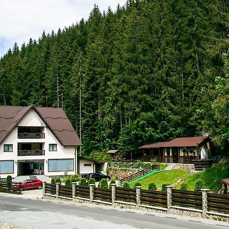 Valea Mare  Perla Padurii酒店 外观 照片