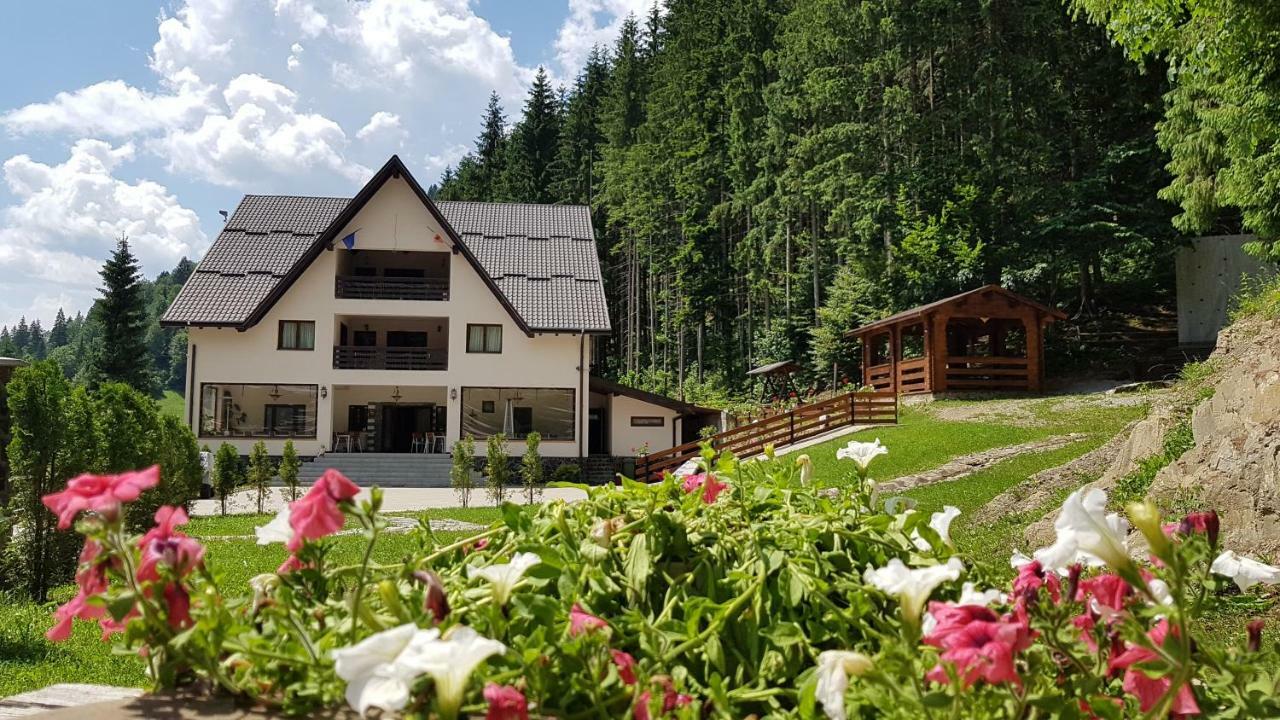 Valea Mare  Perla Padurii酒店 外观 照片
